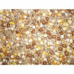 Vente flash 🎁 MAISANGE Johnston & Jeff Quatre Saisons General Economy Pigeon De Melange De Graines, 20 Kg 😀