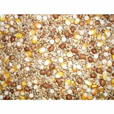 Vente flash 🎁 MAISANGE Johnston & Jeff Quatre Saisons General Economy Pigeon De Melange De Graines, 20 Kg 😀