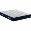 Top 10 ❤️ PROVENCE LITERIE Matelas Benjamin A Ressorts Ensaches + 4 Cm Memoire De Forme 80 Kg/m3 - 90x200 Hauteur +/- 31 Cm - Accueil Moelleux - Soutien Equilibre - 7 Zones De Confort - Hypoallergenique ⌛