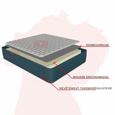 Top 10 😉 Matelas Ergonomique 140x190 H19 - JOLIE Ergo Batflex - Mousse Ergonomique - 3D Aération - Ferme - Orthopédique - Respirant - Hypoallergénique - La Couleur Peut Changer - La Couleur Peut Changer 🛒 – Image 3